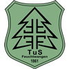 Wappen TuS Feuchtwangen 1861  11400