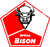 Wappen SpVgg. Bison 2020 diverse