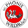 Wappen SG Phönix Wildau 95 diverse  31414