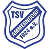 Wappen TSV Ammerndorf 1924 diverse  53853