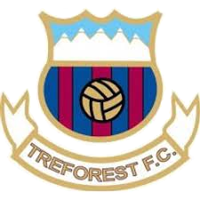 Wappen Treforest FC  7246