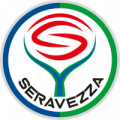 Wappen ASD Seravezza Pozzi Calcio  36641