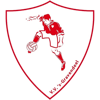 Wappen VV 's-Gravendeel  56342