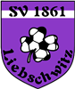 Wappen SV 1861 Liebschwitz diverse  107069