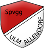 Wappen SpVgg. Ulm-Allendorf 1950 diverse