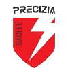 Wappen FC Precizia Săcele diverse  102283