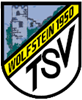 Wappen TSV Wolfstein 1950 diverse  95265