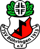 Wappen TSV Böhringen 1913 diverse  106086