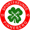 Wappen SF Pinneberg 1945 diverse  61985