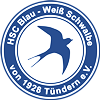 Wappen ehemals Hamelner SC Blau-Weiß Schwalbe 1928 Tündern   114310