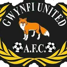 Wappen Gwynfi United FC  104253