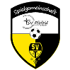 Wappen SG Pfofeld/Theilenhofen (Ground A)