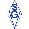 Wappen SG Vöhringen 1930 diverse  101718