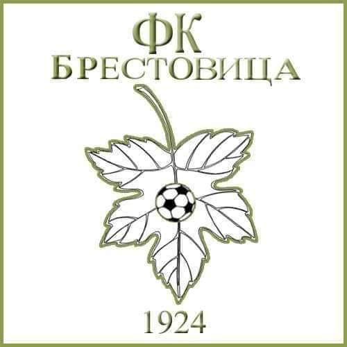 Wappen FK Brestovitsa  119508