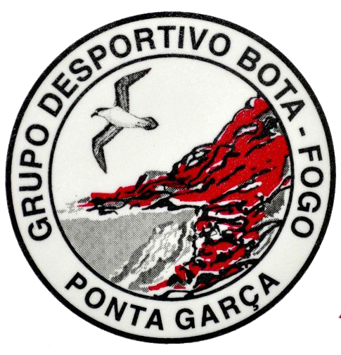 Wappen Grupo Desportivo Bota Fogo  23990