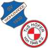Wappen SG Wohlenrode/Höfer ll (Ground A)  64381