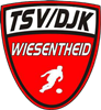 Wappen TSV/DJK Wiesentheid 1905 diverse  64610
