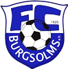 Wappen FC 1920 Burgsolms  8973