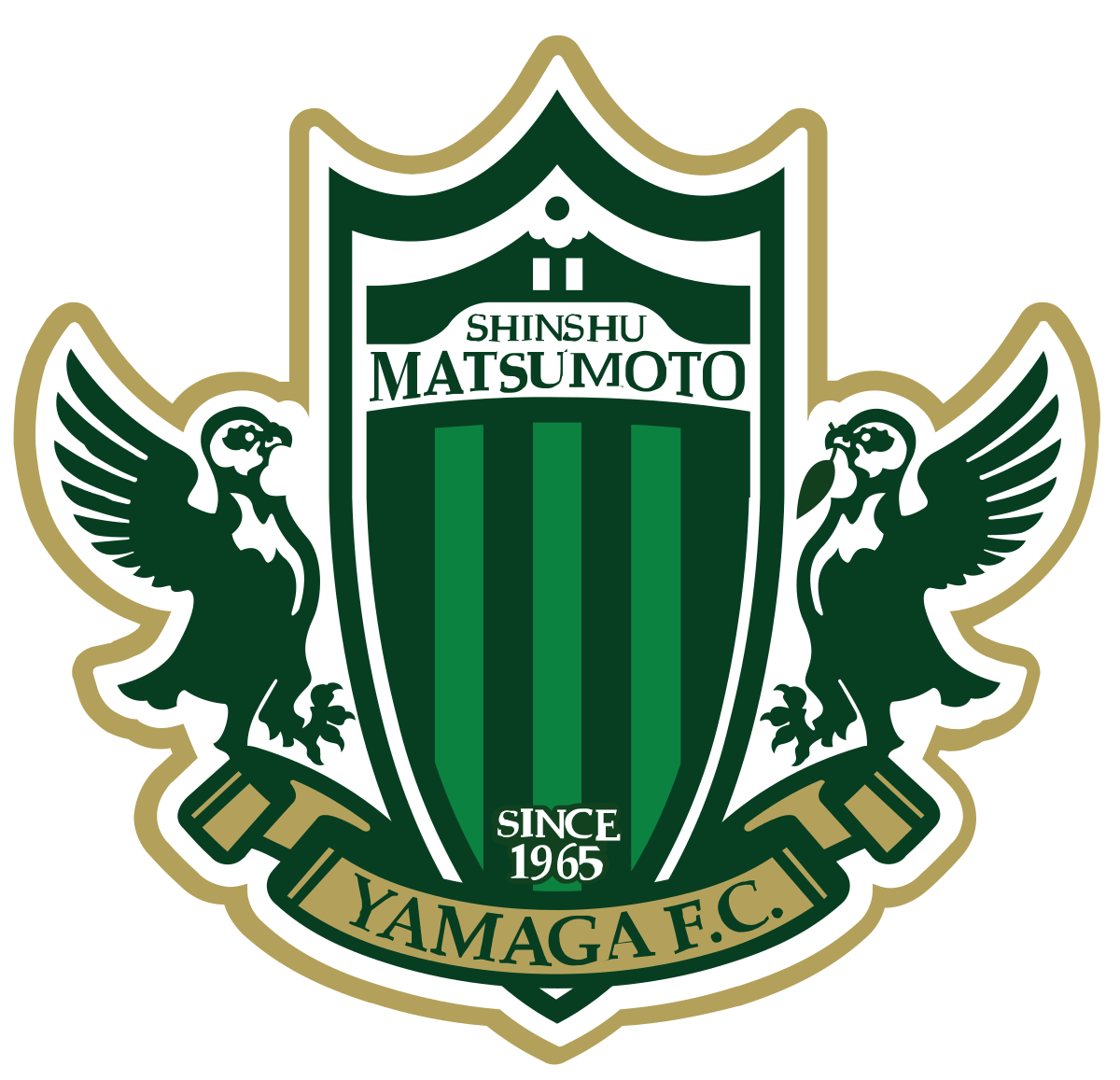 Wappen Matsumoto Yamaga FC  26638