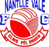 Wappen Nantlle Vale FC