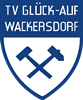 Wappen TV Glück-Auf Wackersdorf 1912  23326