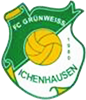 Wappen FC Grün-Weiß Ichenhausen 1980 diverse  84951