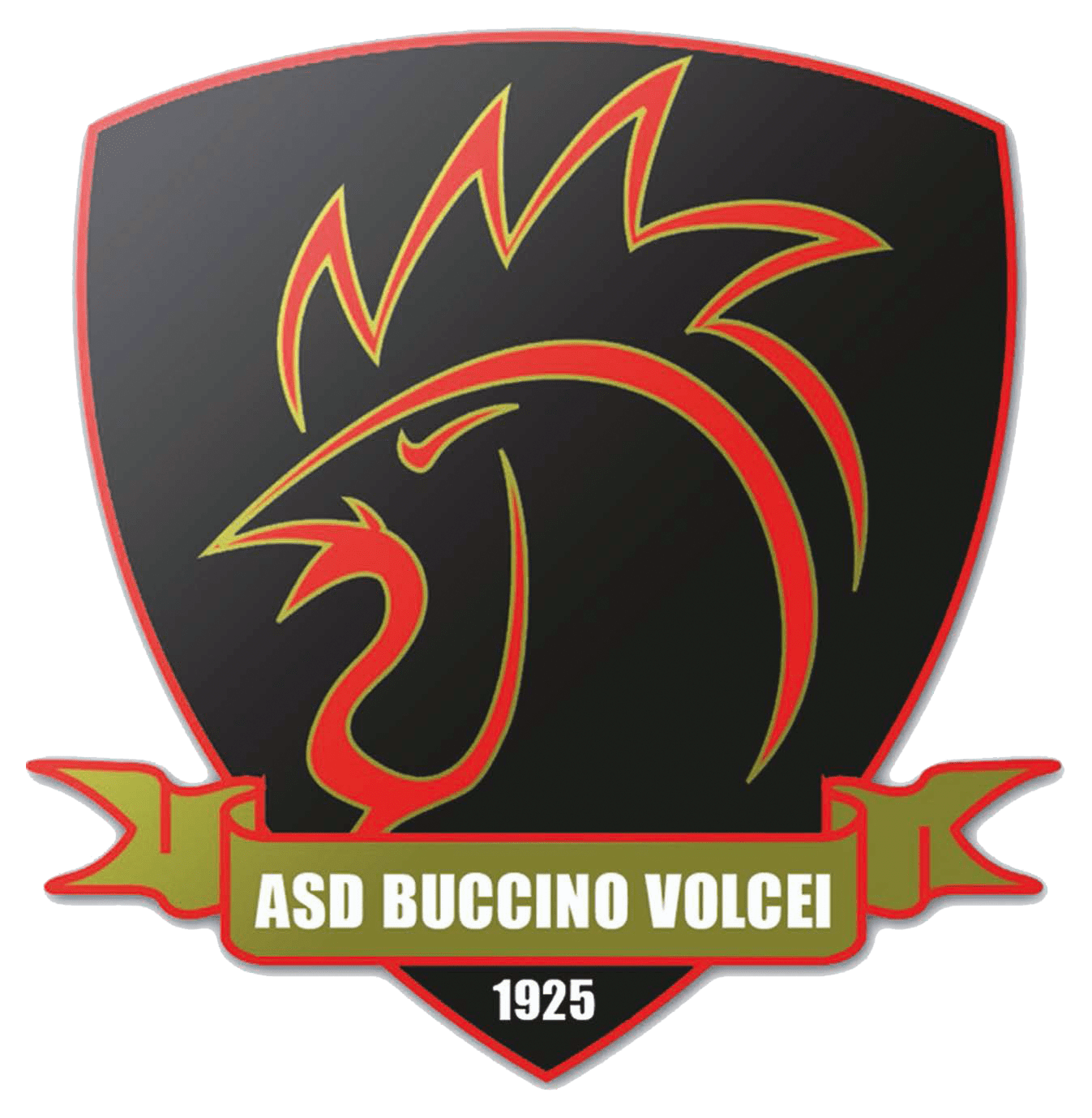 Wappen ASD Buccino Volcei 1925  79575