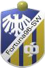 Wappen Fortuna 96 Schweinfurt diverse  95935