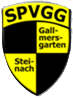 Wappen SpVgg. Gallmersgarten-Steinach 1970 diverse  46640
