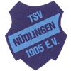 Wappen TSV Nüdlingen 1905 diverse  66943