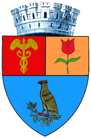 Wappen Pitești  50138