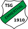 Wappen TSG Emmerthal 1910  22012