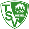 Wappen TSV Hesel 1965 diverse  94254