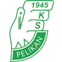 Wappen KS Pelikan Łowicz  4766
