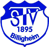 Wappen TSV 1895 Billigheim diverse