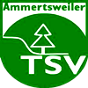 Wappen TSV Ammertsweiler 1955 diverse  70346