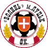 Wappen FK Volyn Lutsk  5738
