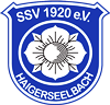 Wappen SSV 1920 Haigerseelbach  34992