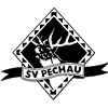 Wappen SV Pechau 1990  58372