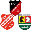 Wappen SG Husum II / Linsburg II / Langendamm II (Ground B)  123664