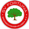 Wappen SV Fortuna Großschwabhausen 1929  67448