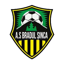 Wappen ehemals AS Bradul Șinca  118641