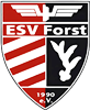 Wappen Eisenbahner SV Forst 1990 diverse  68578