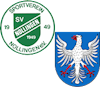 Wappen SG Nollingen/Degerfelden (Ground A)  123145