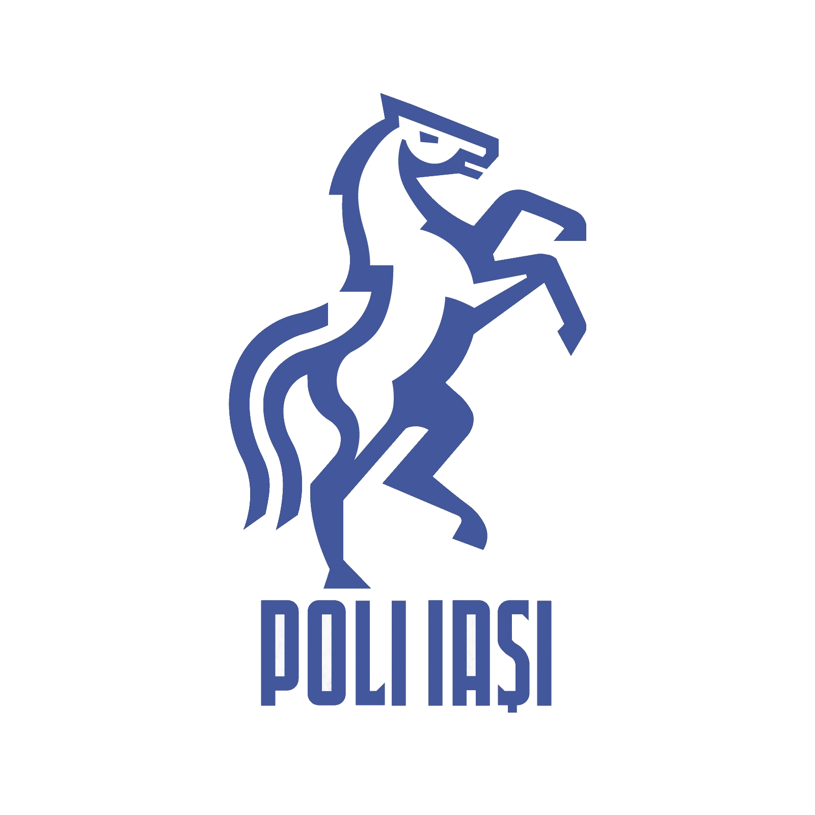 Wappen CSM Politehnica Iași diverse  50137