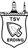 Wappen TSV 1862 Erding diverse  11394