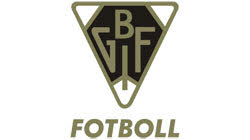 Wappen Bollnäs GIF FF  19300
