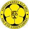 Wappen SV 1911 Elz  17981