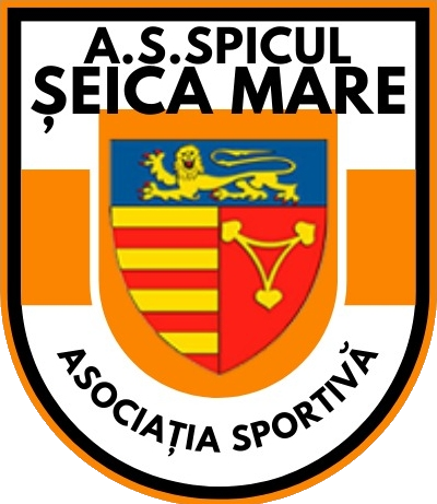 Wappen AS Spicul Șeica Mare diverse  32587