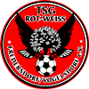 Wappen TSG Rot-Weiß Fredersdorf-Vogelsdorf 1887  27867